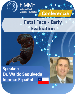 Fetal Face - Early Evaluation